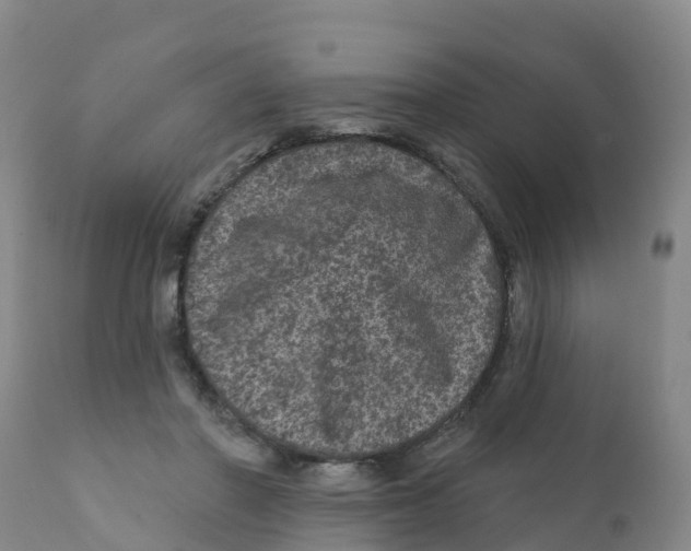 X0000111640406200908141412