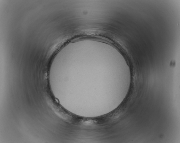 X0000111640407200908141412