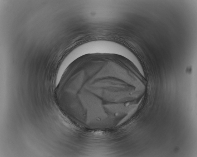 X0000111640409200908141412