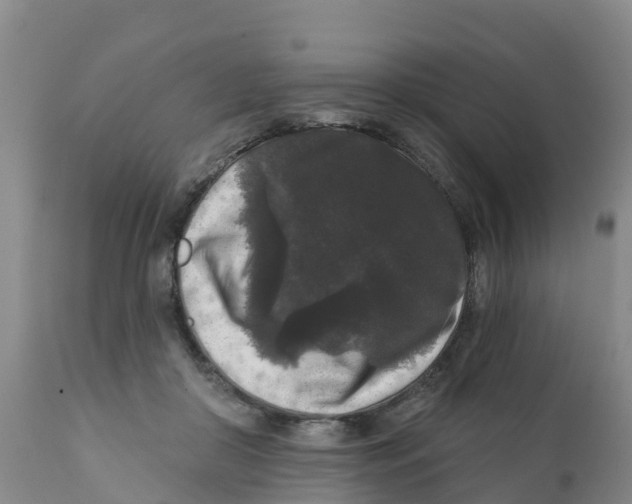 X0000111640410200908141412