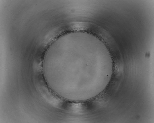 X0000111640411200908141412