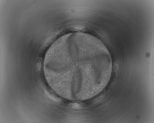 X0000111640412200908141412
