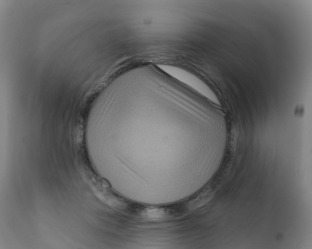 X0000111640413200908141412