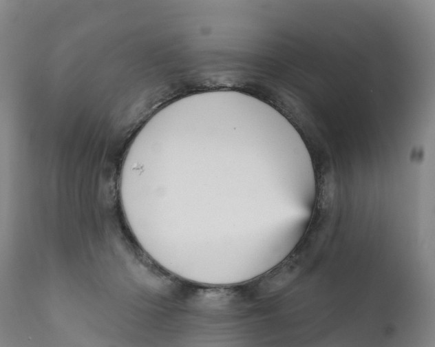 X0000111640414200908141412