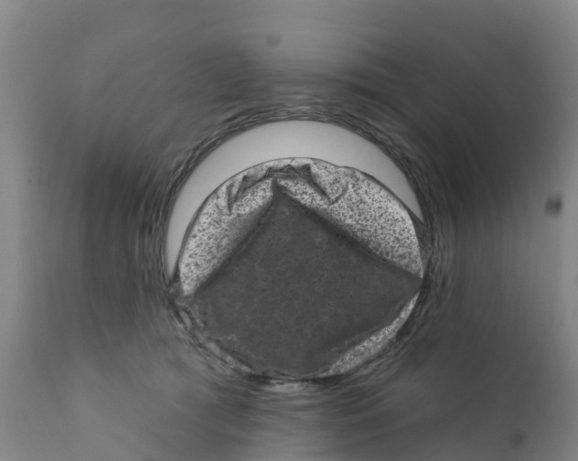 X0000111640417200908141412
