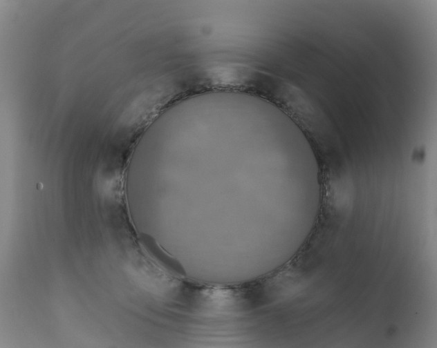 X0000111640419200908141412