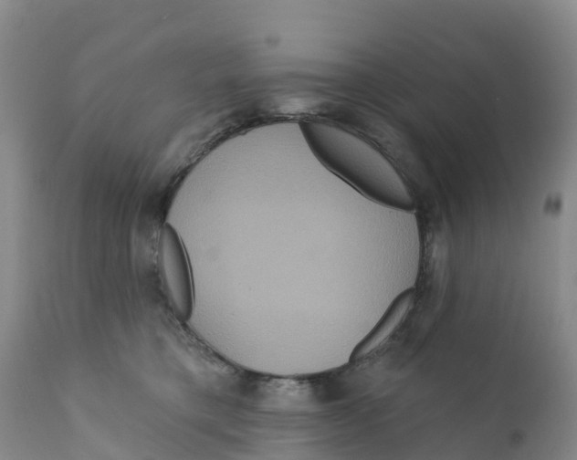 X0000111640421200908141412