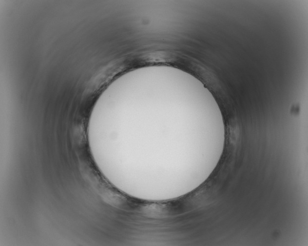 X0000111640422200908141412