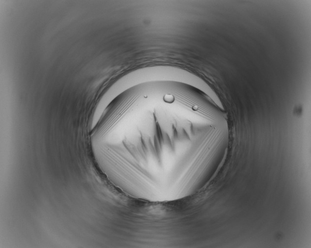 X0000111640423200908141412
