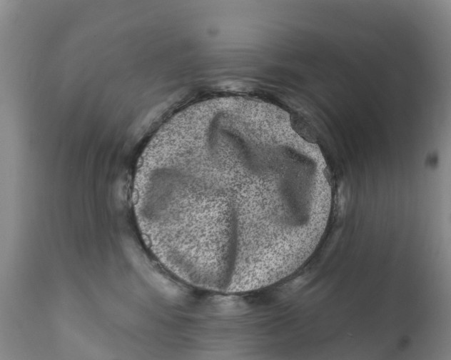 X0000111640424200908141412