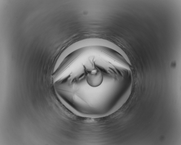 X0000111640425200908141412