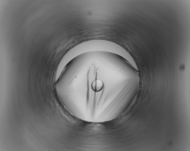 X0000111640427200908141412