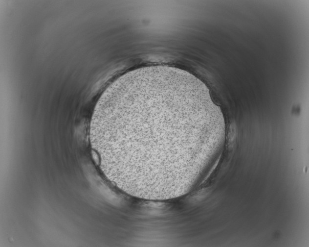 X0000111640428200908141412