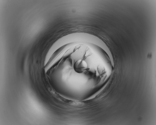 X0000111640429200908141412