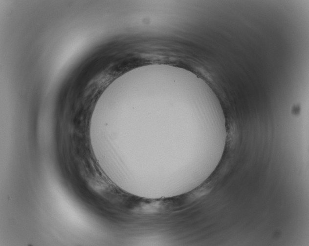 X0000111640430200908141412