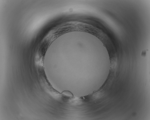 X0000111640431200908141412