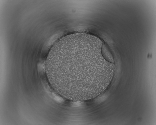 X0000111640432200908141412