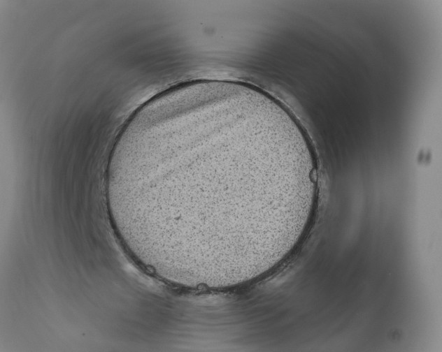 X0000111640433200908141411
