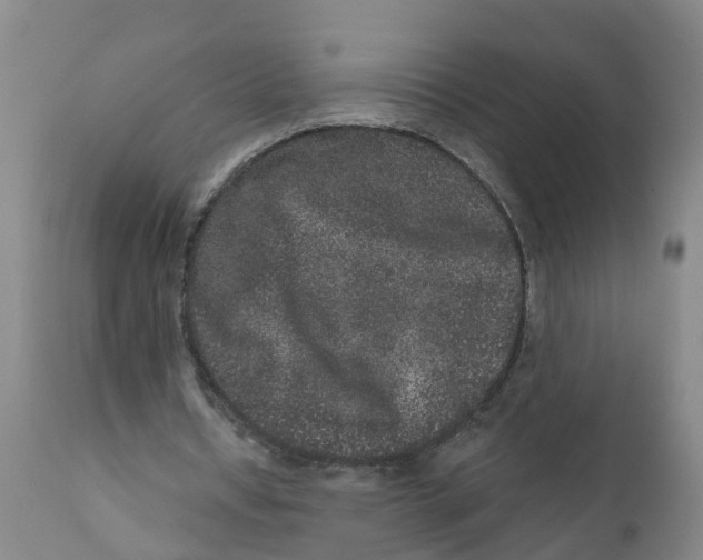 X0000111640434200908141411