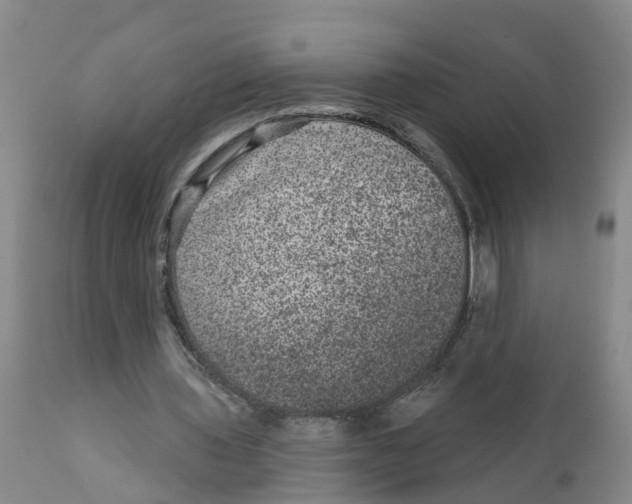 X0000111640435200908141411