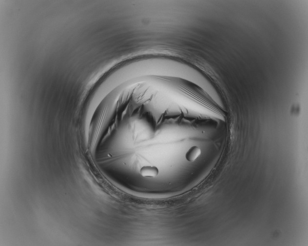 X0000111640436200908141411