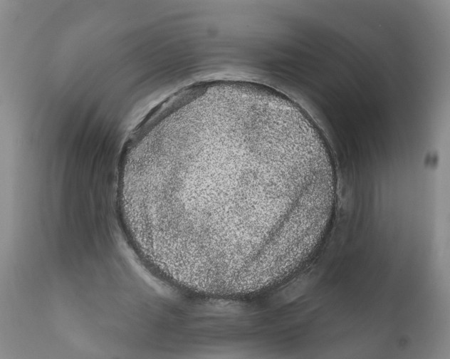 X0000111640437200908141411