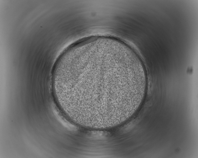 X0000111640439200908141411