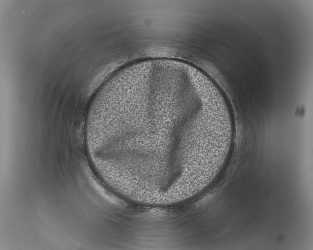 X0000111640441200908141411