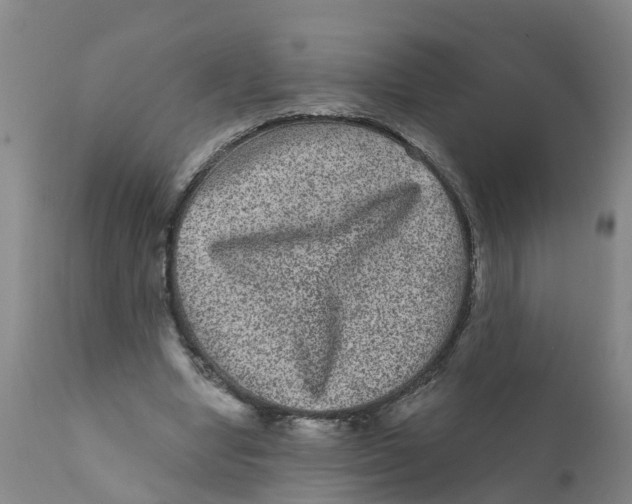 X0000111640442200908141411