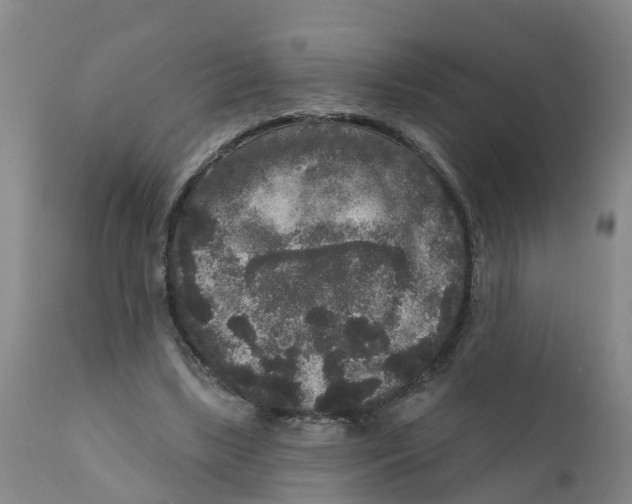 X0000111640443200908141411