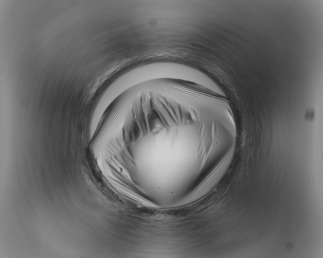X0000111640444200908141411