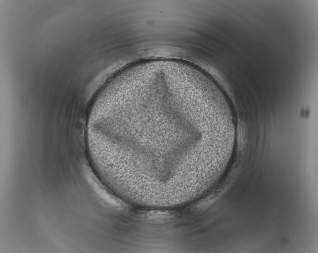 X0000111640445200908141411