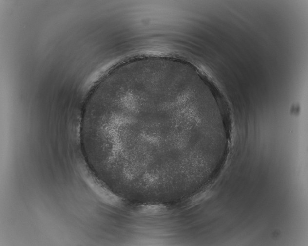 X0000111640446200908141411