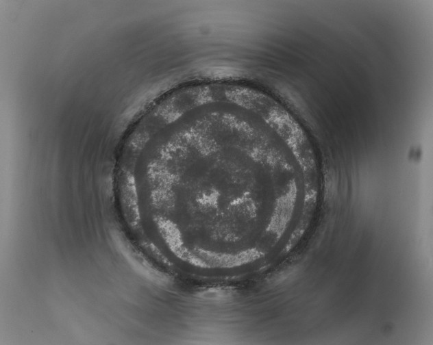 X0000111640447200908141411