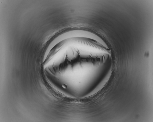 X0000111640448200908141411