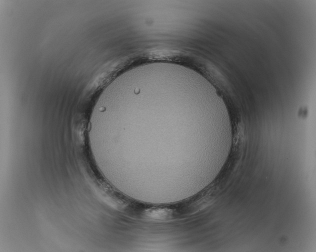 X0000111640452200908141411