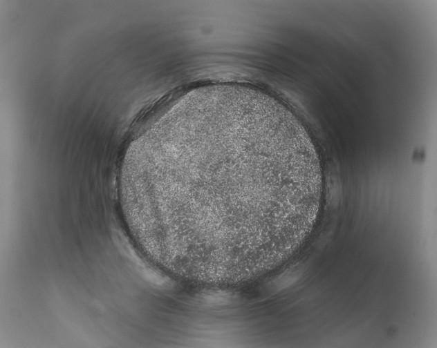 X0000111640453200908141411