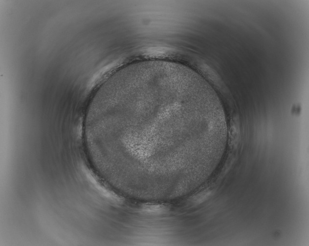 X0000111640454200908141411