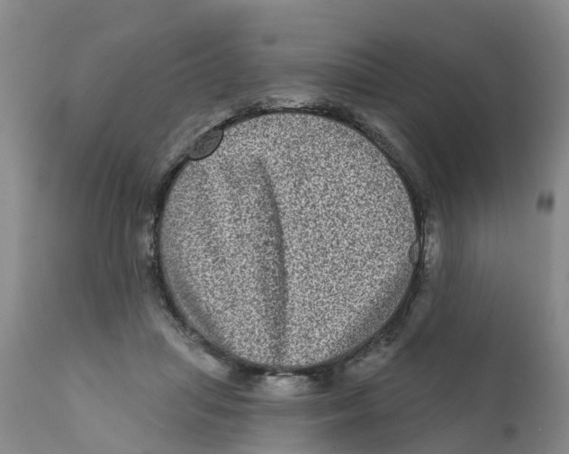X0000111640455200908141411