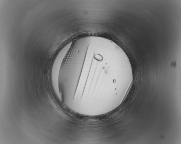 X0000111640456200908141411