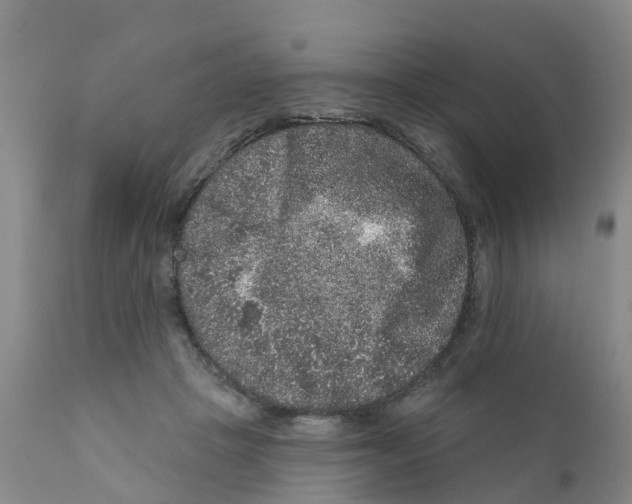 X0000111640457200908141411