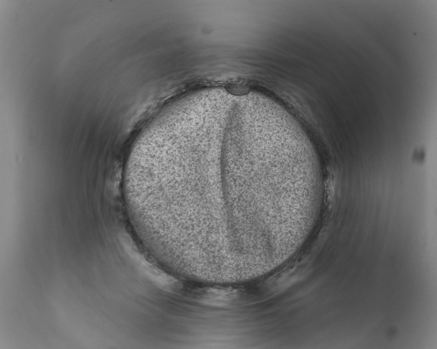 X0000111640458200908141411