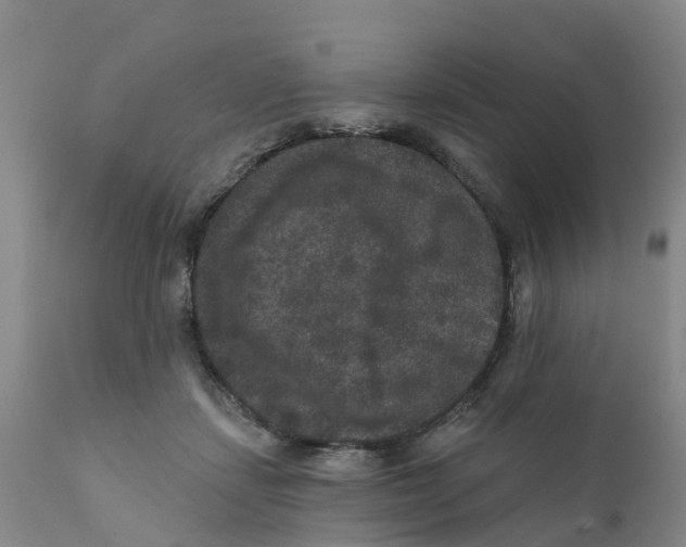 X0000111640459200908141411
