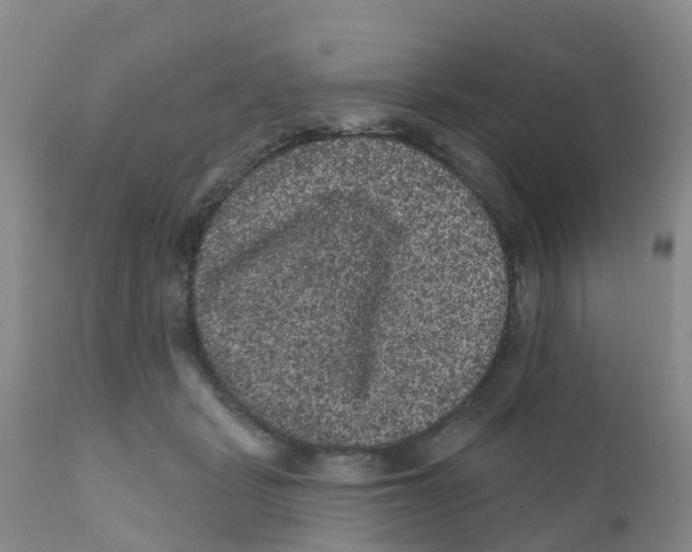 X0000111640461200908141411