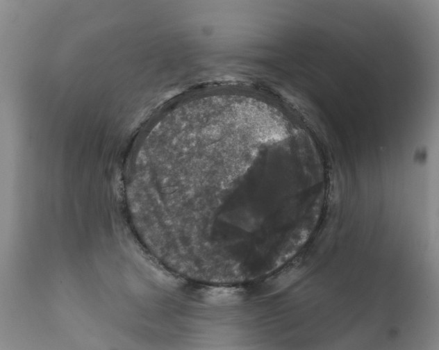 X0000111640465200908141411