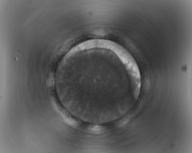 X0000111640467200908141411