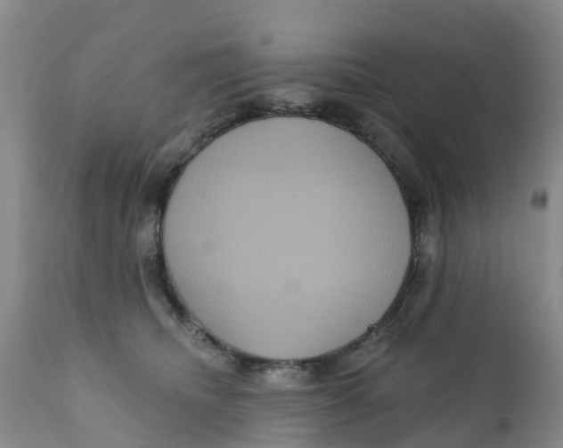 X0000111640468200908141411