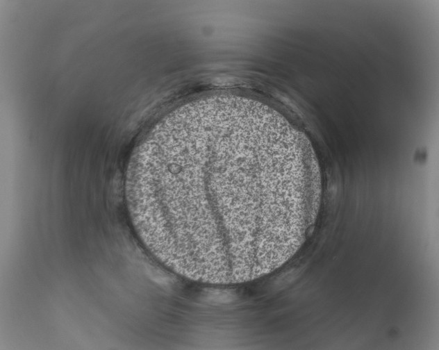 X0000111640469200908141411