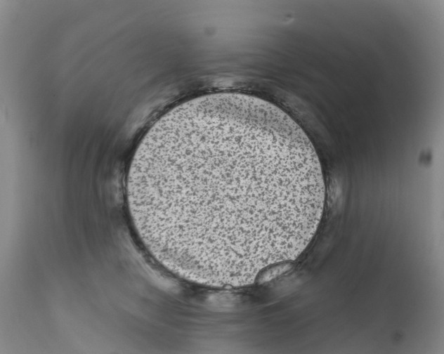X0000111640470200908141411