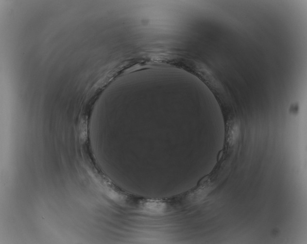 X0000111640471200908141412